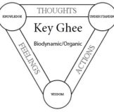 Biodynamic Organic Key Ghee from Butter Coffee Australia
