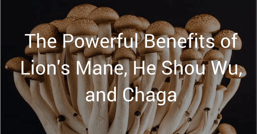 The Powerful Benefits of Lion's Mane, He Shou Wu, and Chaga