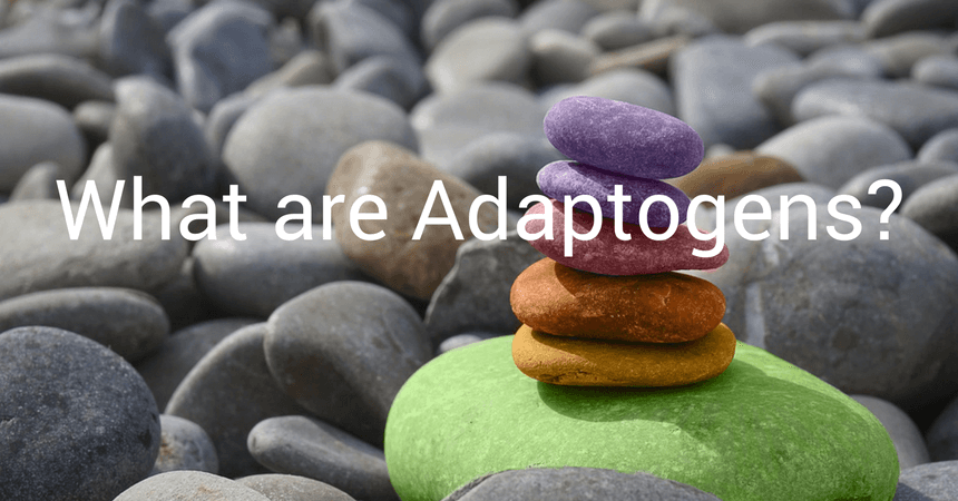 What are Adaptogens 